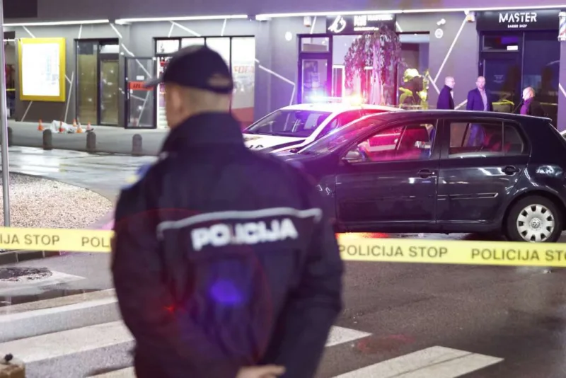 ilidža MUP KS
