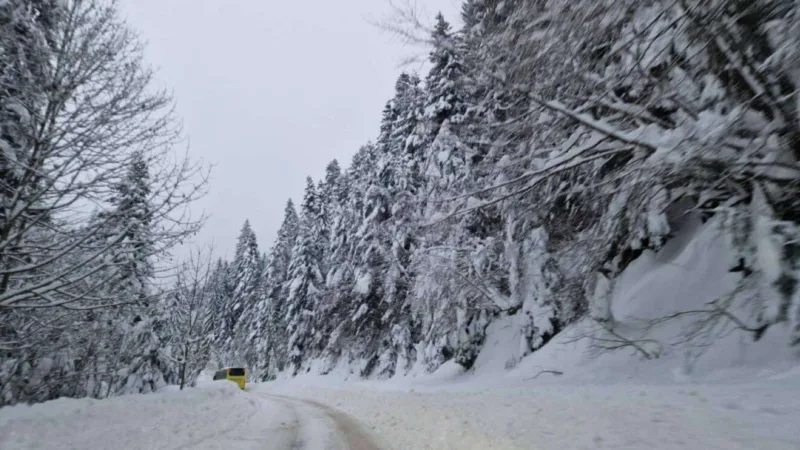 vlašić