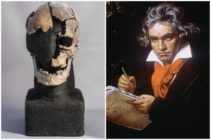 Vittrupov Beethoven