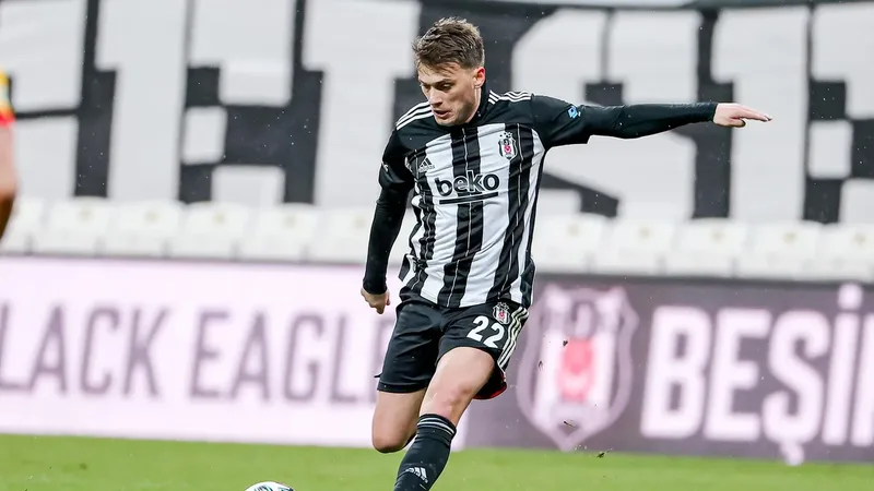 ljajic