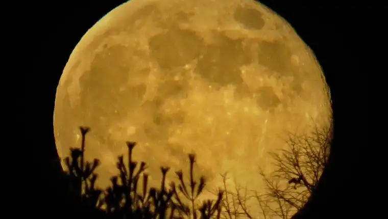 05d01504-4369-400d-82c4-80c35efce90f-WSF_Kristi_Cold_Moon