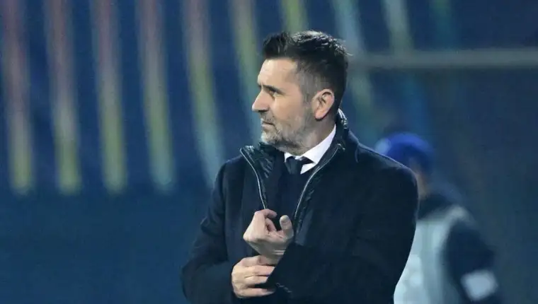 bjelica