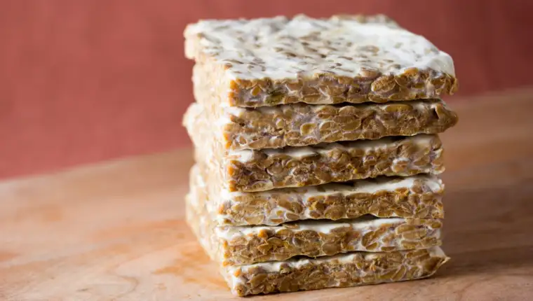 tempeh