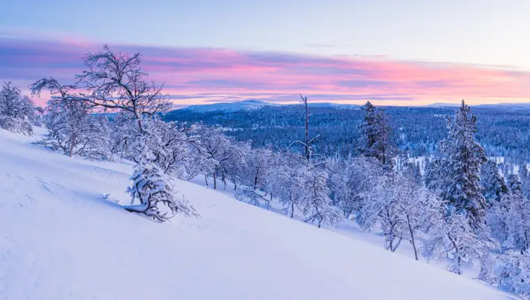 Breathtaking view of a forest covered with snow during sunset in Norway