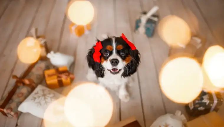 pas