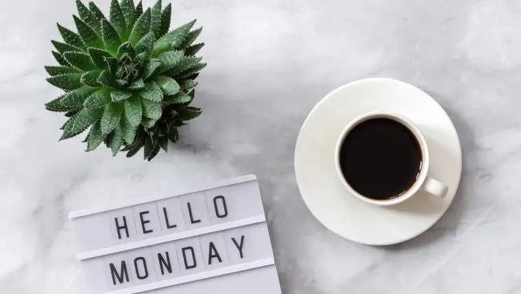 Office or home table desk. Lightbox text Hello monday, cup of coffee, succulent on marble background Concept Copy space Flat lay Top view