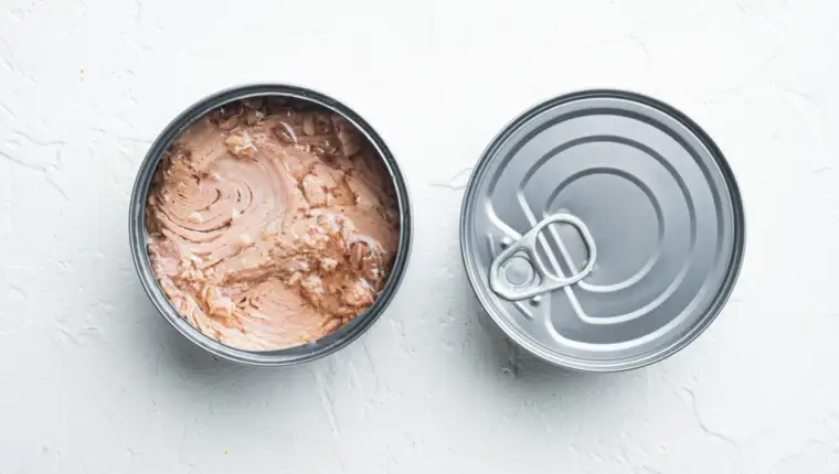 Canned Albacore Wild Tuna, in tin can, on white background, top