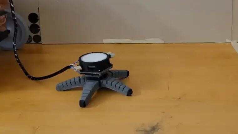gljive robot