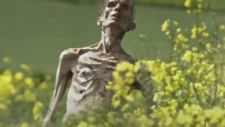 28 godina kasnije film