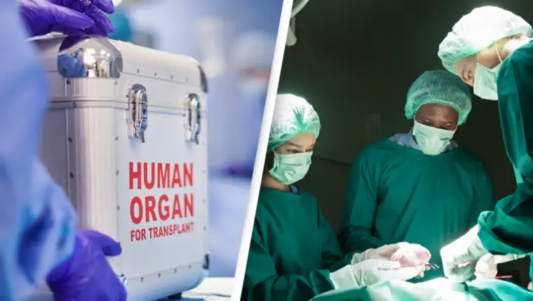transplantacija organa