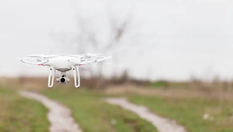 Drone of corn field
