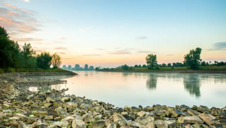 Beautiful shot of a calm lake surrounded by trees during a sunset