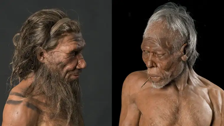 neandertalac i homo sapiens