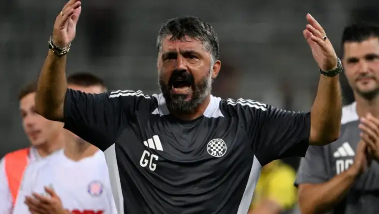 gattusoi