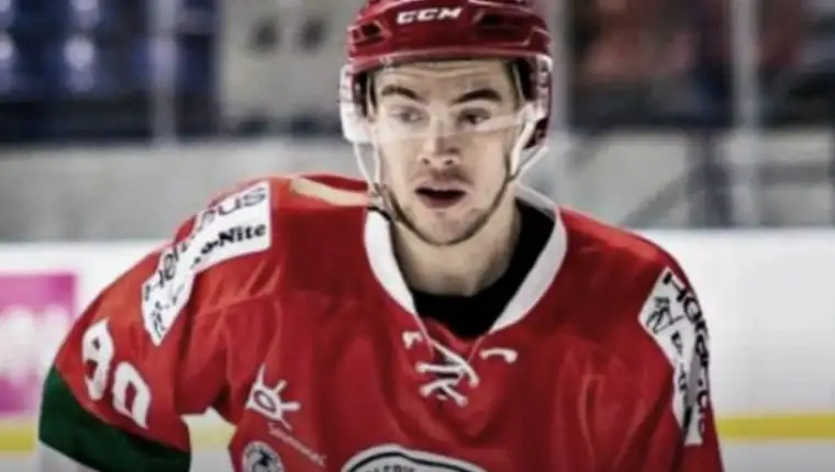 maksim sergejev špijunaža
