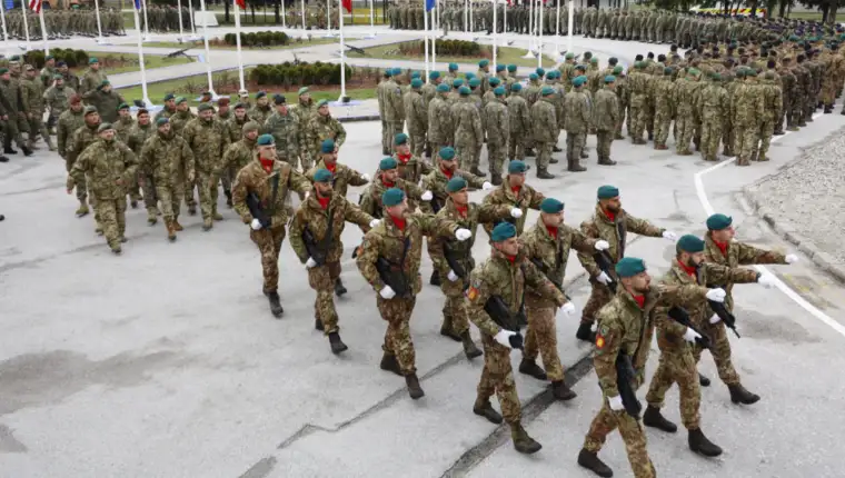 eufor 5