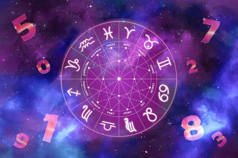 20250110121956_880013