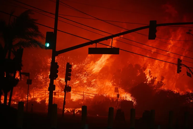 los angeles pozari