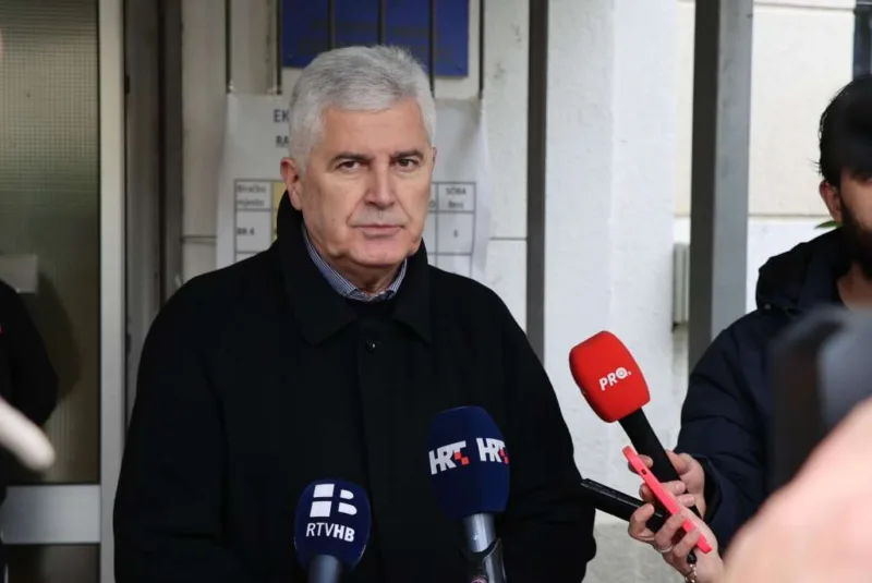 dragan čovic fena