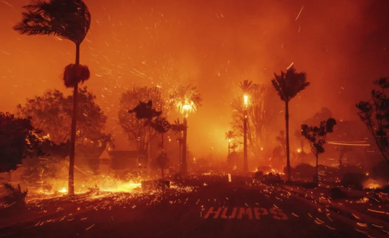 los angeles pozar