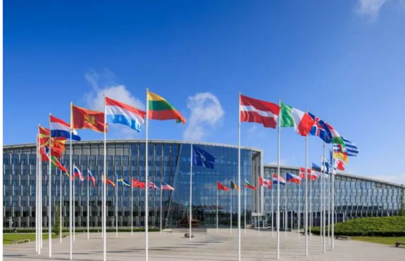evropska unija 6