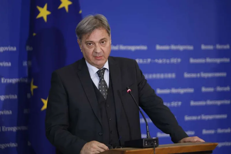 denis zvizdic fena