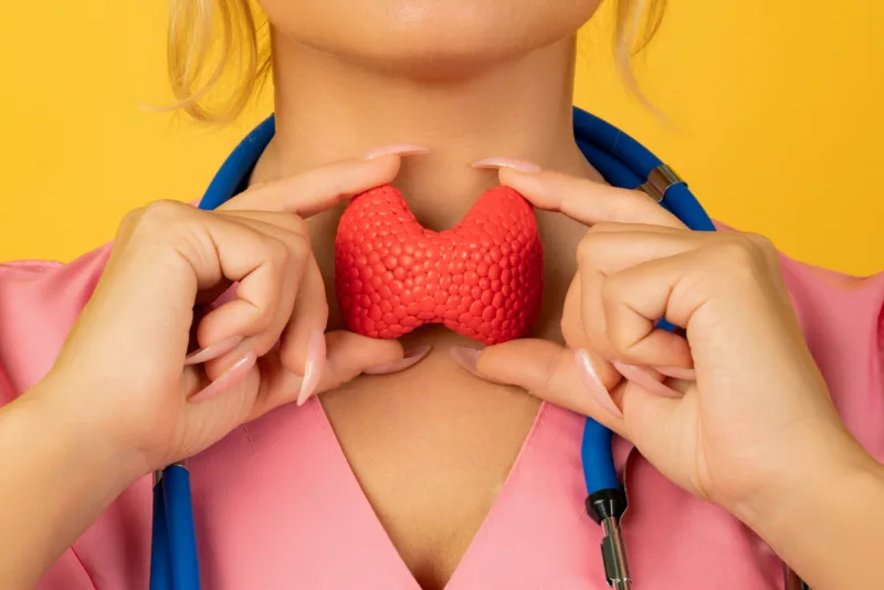Female doctor is holding anatomical model thyroid gland. Help and care concept