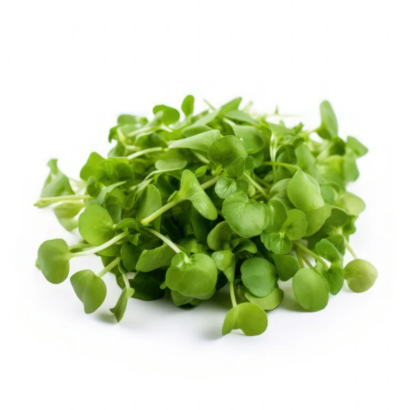 Watercress isolated on white background