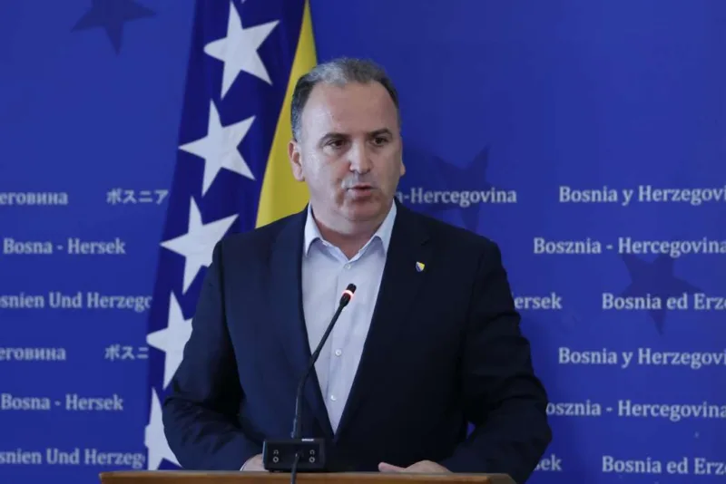 dzenan djonlagic