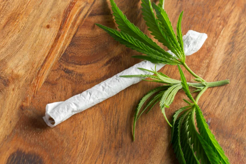 Medical marijuana.