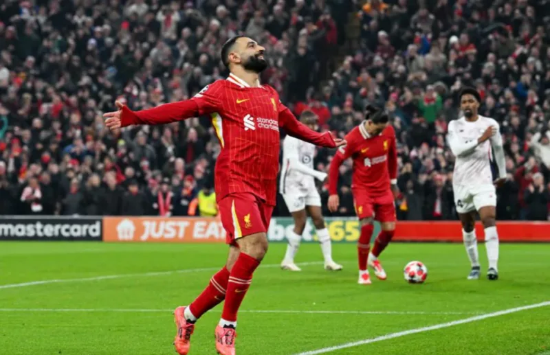 liverpool 6