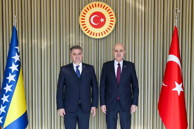 zvizdic turska