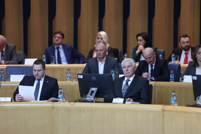 kovacevic novic dom naroda bih fena
