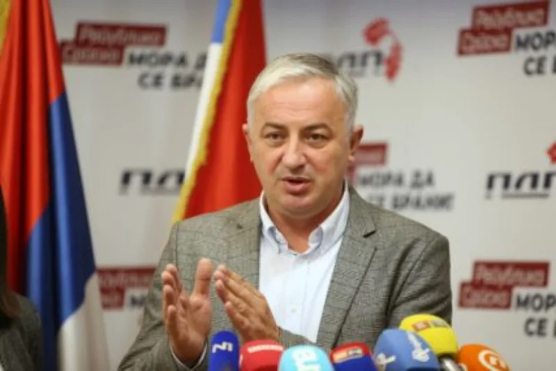 branislav borenovic