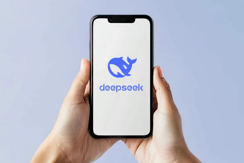 deepseek-ai_cc-by-nc-20