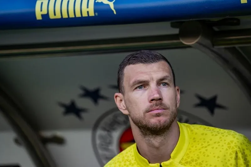 dzeko