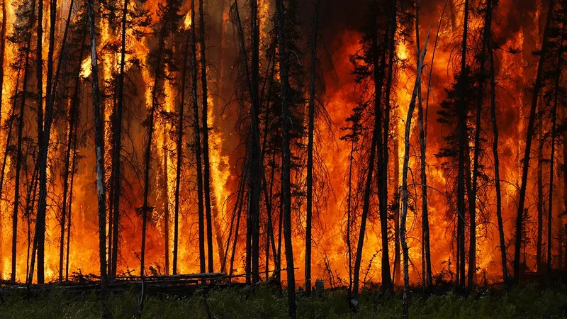wildfire