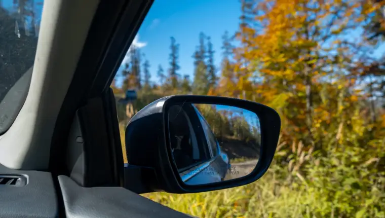 Autumn Reflection in Car Side Mirror