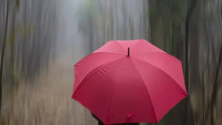 Woman walking on a path with umbrella