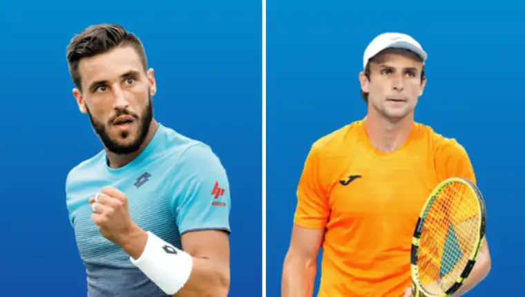 dzumhur vukic 1