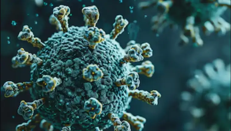 norovirus 1