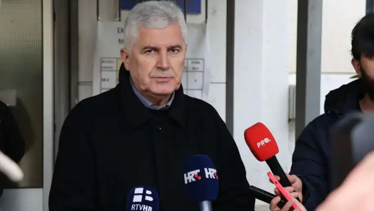 dragan čovic fena