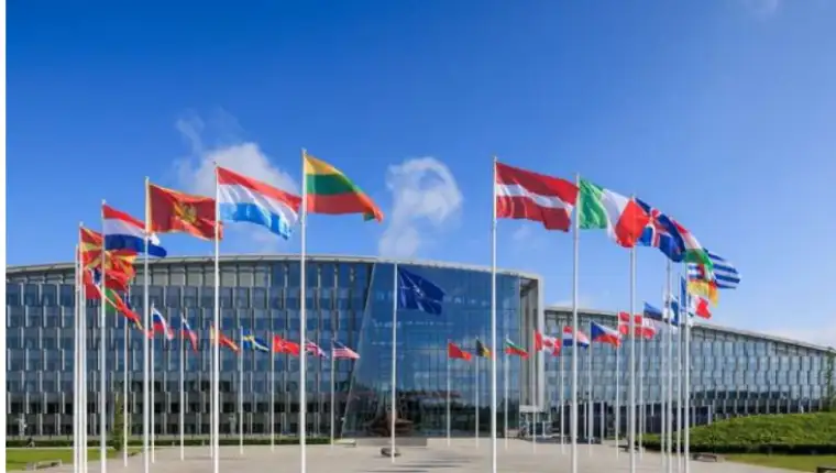 evropska unija 6
