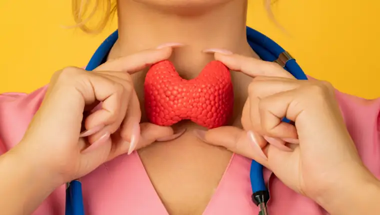Female doctor is holding anatomical model thyroid gland. Help and care concept