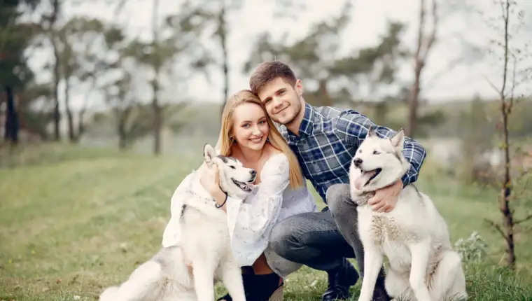 Beautiful couple in a summer forest with a dogs