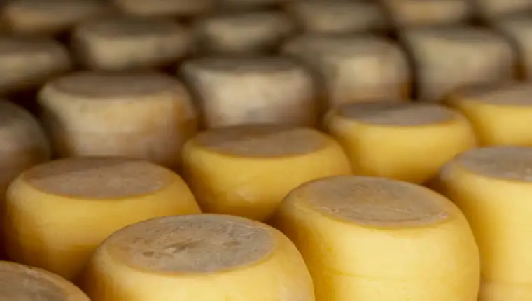 variety-rustic-cheese-wheels