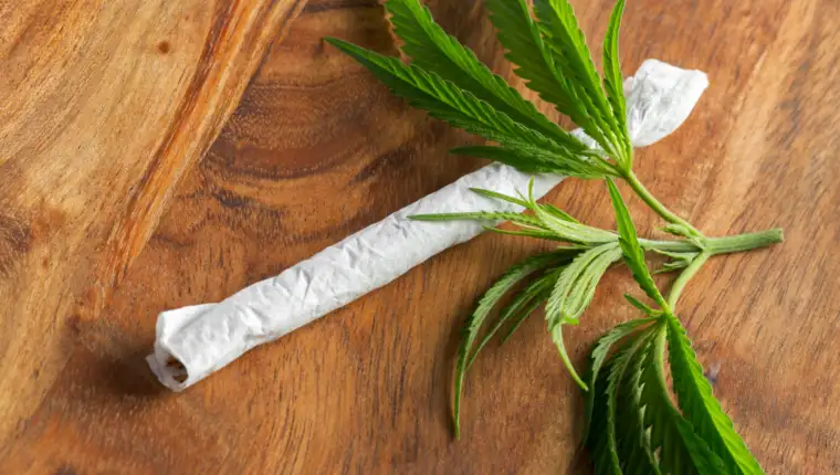 Medical marijuana.