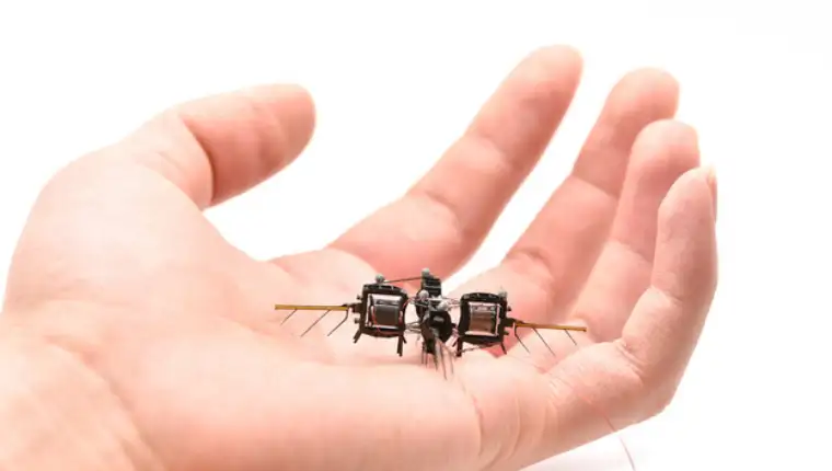 insekt robot3