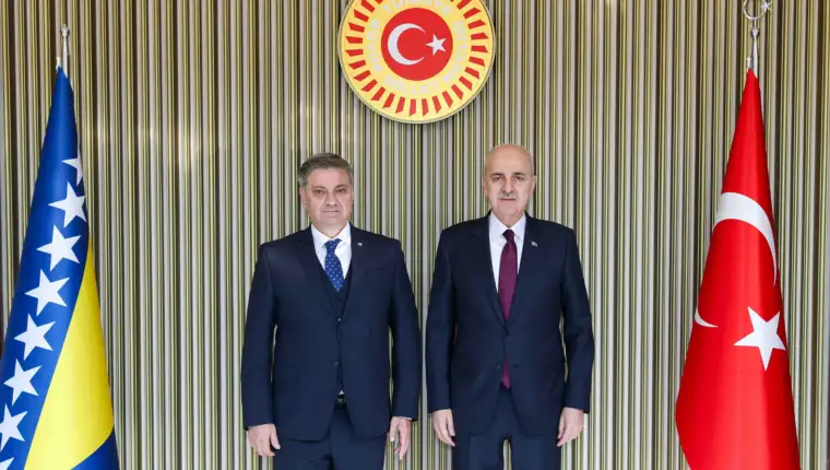 zvizdic turska