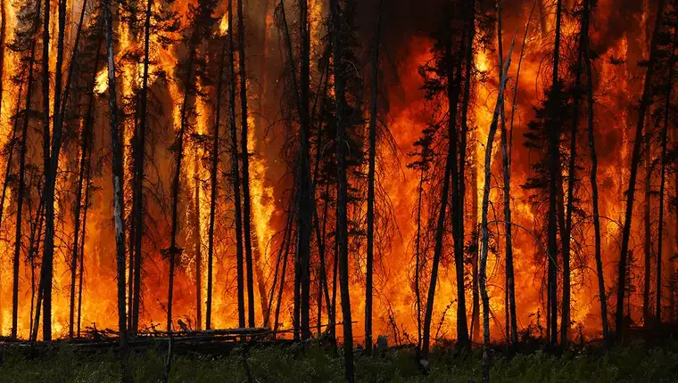 wildfire